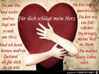 fuer dich schlaegt mein herz