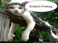 endlich freitag