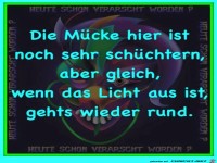 Die Muecke ist schuechtern