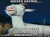 Diese tolle Gef�hl