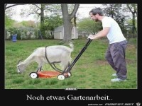 Gartenarbeit
