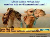 Ganz sch�n ruhig...