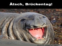 Brckentag