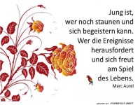 Jung ist