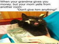 So kann man sich das vorstellen