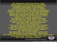 Ein Reporter will eine Story über menschliche Schicksale...