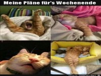 Meine Pl�ne f�r's Wochenende