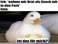 Ist das Brot f�r mich?