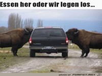 Essen her