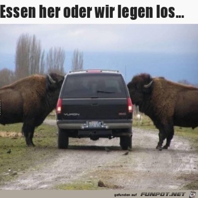 Essen-her.jpg von Mia