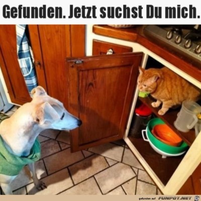 Jetzt-suchst-du-mich.jpg von DunklesBrot