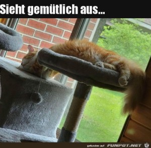 Bequem-ist-anders.jpg auf www.funpot.net