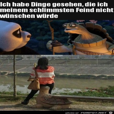Schildkr&ouml;te.jpg von Luka