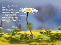 Ich danke dir daf�r