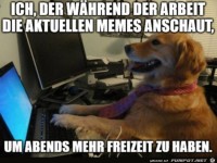 Memes ansehen