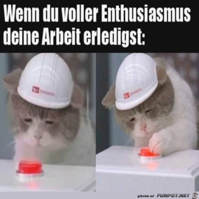 Hoch-motiviert.jpg von Tillmann