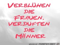 Verbl�hen die Frauen