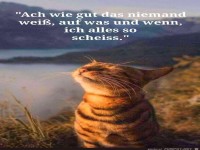 Wie gut, dass niemand wei�