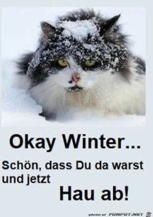 Winter-hau-ab.jpg auf www.funpot.net