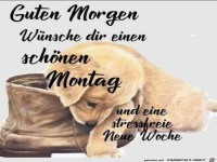 Guten Morgen am Montag