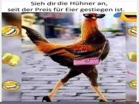 Hühner