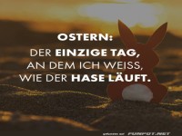Lustiges Oster-Zitat mit Hase am Strand