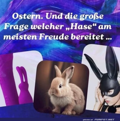 Welcher-Hase-bringt-Osterfreude?.jpg auf www.funpot.net
