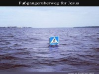 Ungew�hnlicher Zebrastreifen