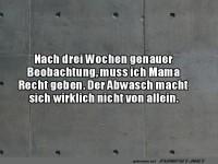 Lustiges Zitat ber den Abwasch