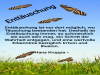 weiter
