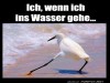 weiter