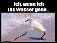 Eleganter Fu�test im Wasser