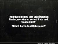 Astro-Entdeckung der anderen Art