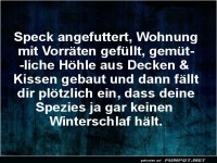 Winterschlaf vergessen?