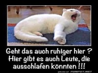 Geht das hier auch leiser?