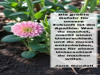 die gr��te gefahr f�r unsere zukunft