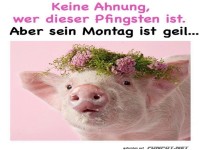 Der Pfingstmontag gefällt mir
