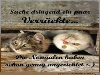 Suche dringend ein paar...