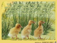 neue Welten