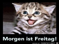 morgen-ist-freitag