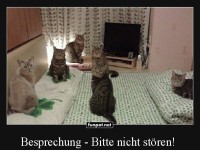 Bitte nicht st�ren