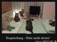 Bitte nicht st�ren