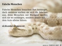 Sprüche - Falsche Mensche