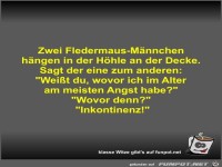 Zwei Fledermaus-M�nnchen h�ngen in der H�hle an der Decke