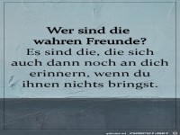 Wahre Freunde