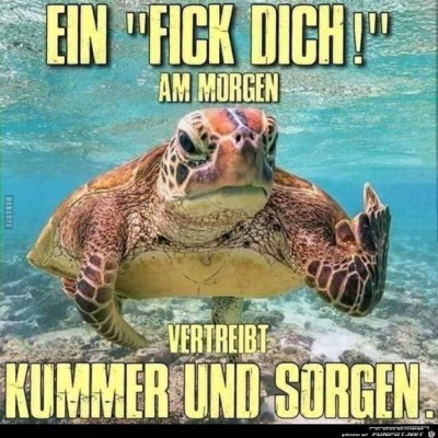Kummer-und-Sorgen.jpg von Keule56