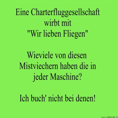 fliegen.jpg von kuddel56