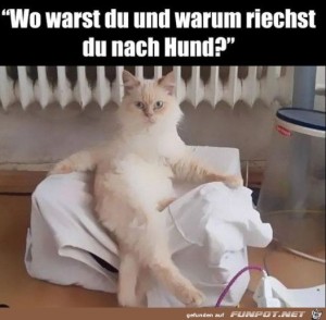 Wo-warst-du?.jpg auf www.funpot.net