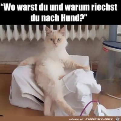 Wo-warst-du?.jpg von Tillmann