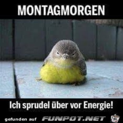 Montagmorgen.jpg von Fabioma